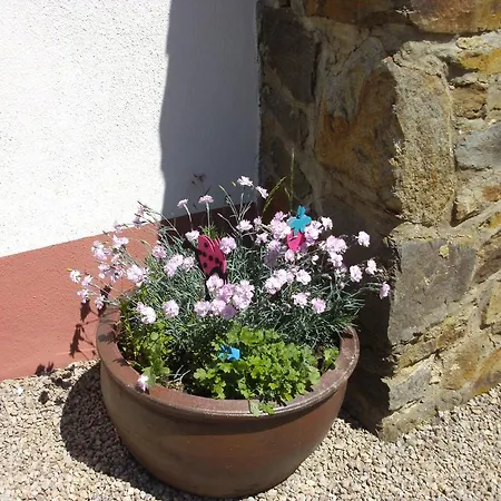Gasthof Haus Klara Mannebach (Vulkaneifel)