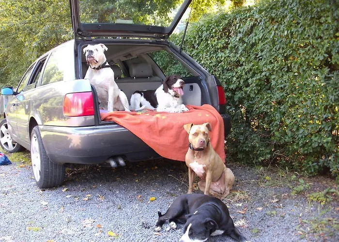 Haus Klara Pensjonat