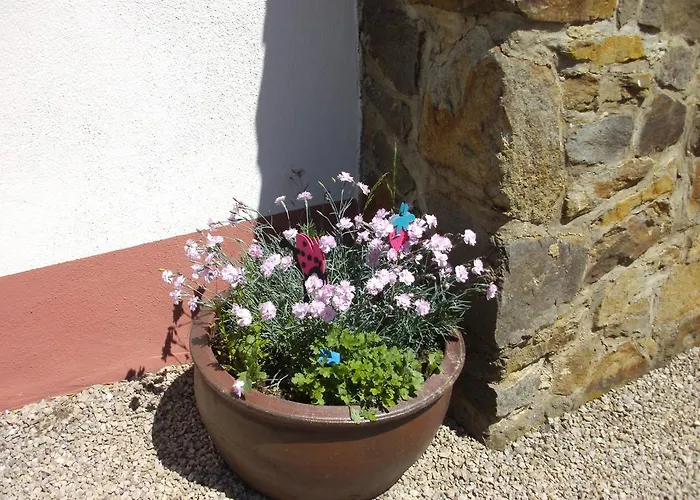 Pensjonat Haus Klara Mannebach (Vulkaneifel)